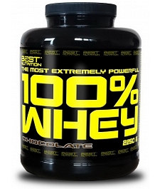 100% Whey Professional Protein - Best Nutrition